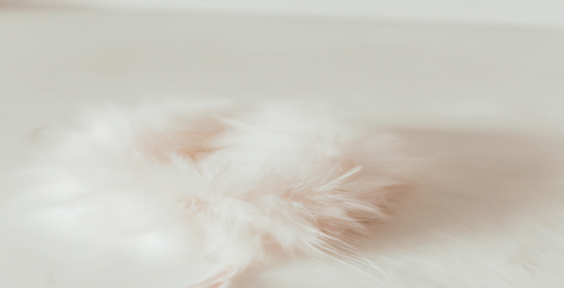 Revisionnez : Notre avis sur les solutions pour une perte de poids durable